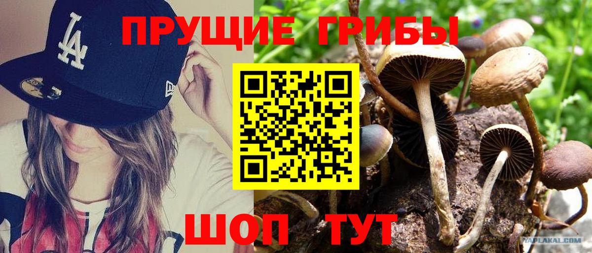 Абинск  Псилоцибиновые грибы ЛСД  Вход с VPN 