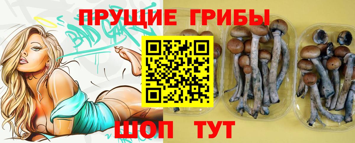 Псилоцибиновые грибы прущие грибы Абинск